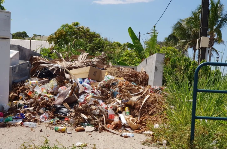 Association Brigade Verte