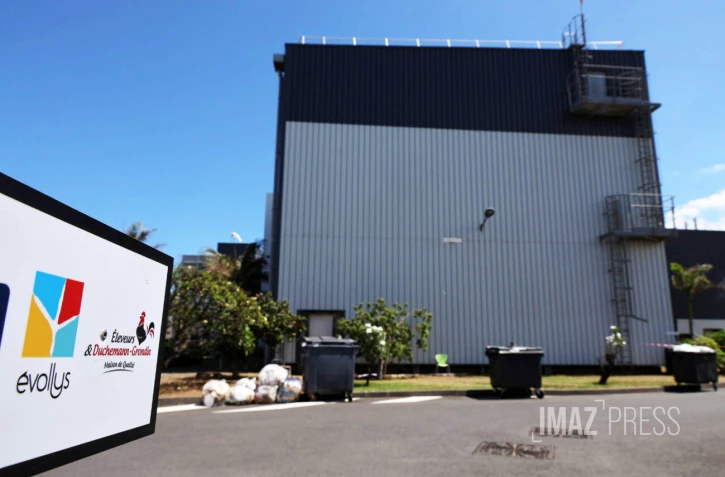 grève abattoir étang salé