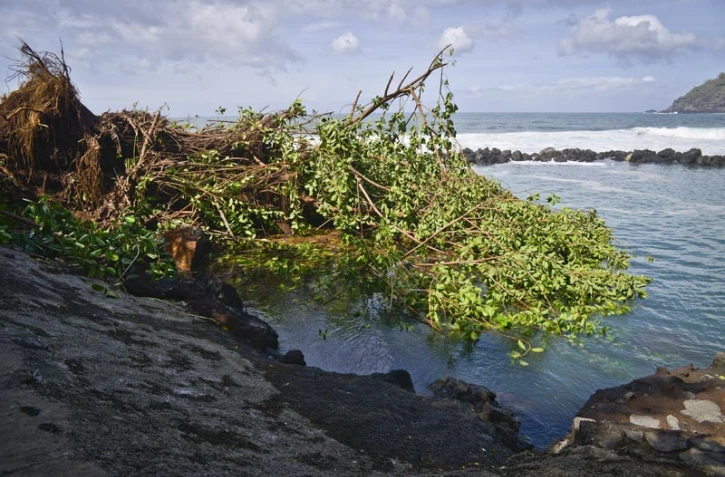 Manapany après le cyclone