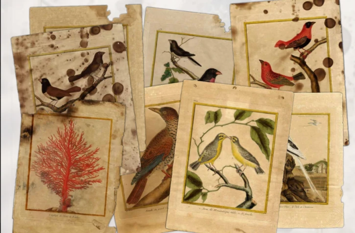 concours lancé pour la restauration de gravures aquarellées 