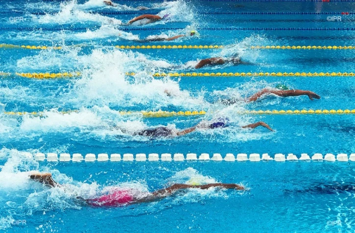 Natation 