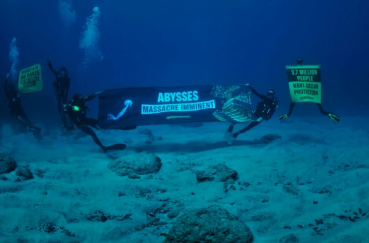  Saint-Pierrre : des militants écologistes brandissent des banderoles à 12 mètres de profondeur