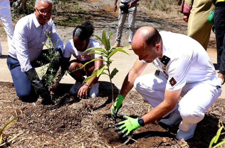 Saint-Denis : 500 arbres plantés grâce au "plan un million d'arbres" 
