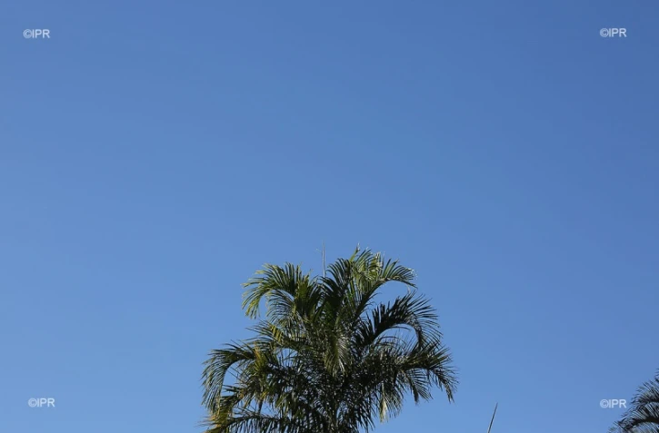 météo réunion 