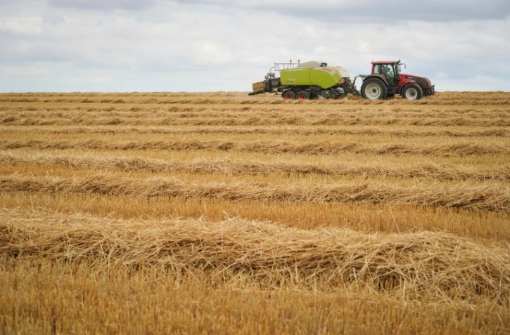 Un agriculteur fait ses récoltes, à Monthodon près de Tours (centre), le 28 juillet 2016