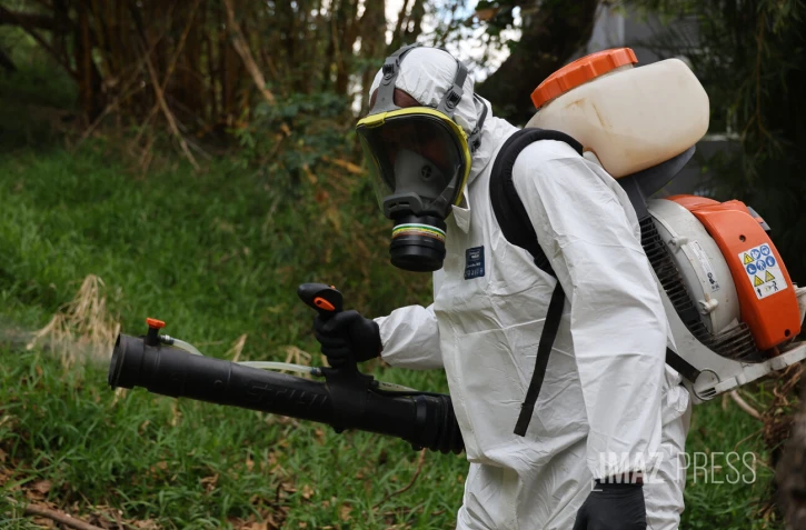 démoustication chikungunya 