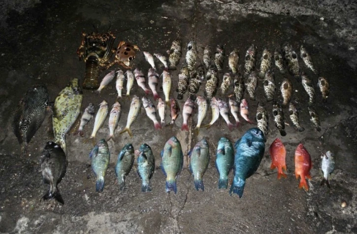 Braconnage : 53 kilos de poissons saisis et 3 personnes interpellés