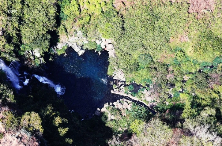 bassin des Cormorans 