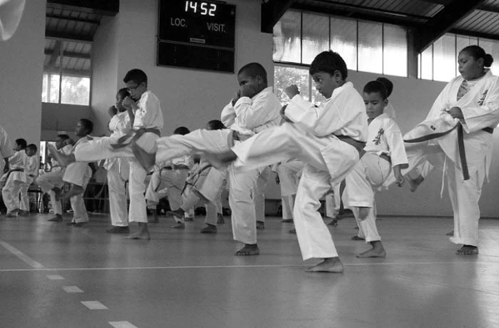 Phoenix Kyokushinkai Karaté