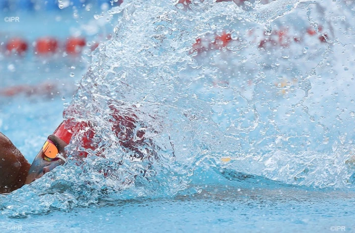 Meeting natation 2015