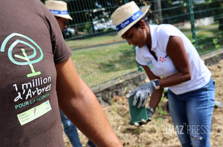 création micro-forêt Département EDF 