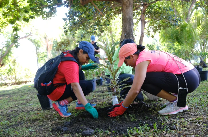 Saint-Paul : un week-end d’animations pour la semaine européenne du développement durable