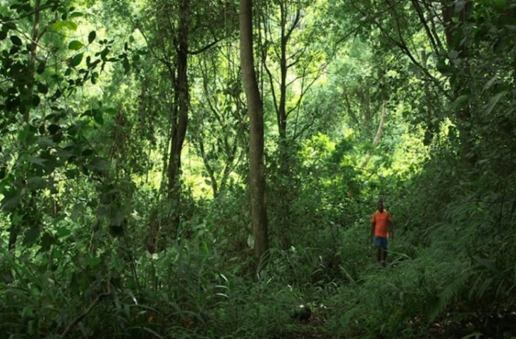 Documentaire \"Le bon sens des hommes\"