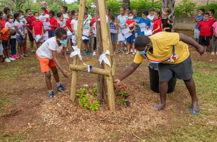 Arbre de la laïcité