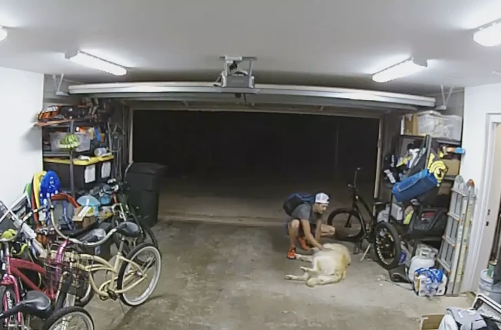 En plein cambriolage, il s’arrête et fait des câlins au chien de la maison