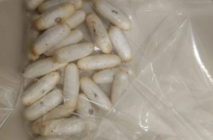 Trafic de drogue : la mule venue d'Afrique du Sud transportait 1,158 kilogramme de cocaïne