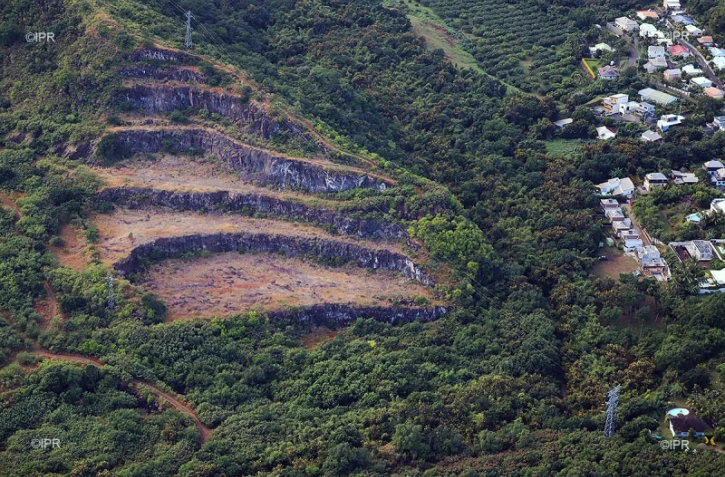 Carrière des lataniers 