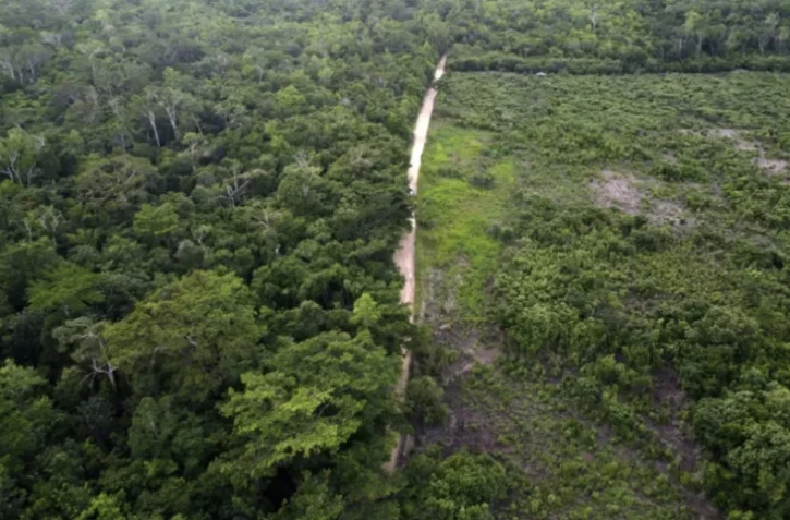 Vue aérienne d'une zone de jungle restaurée après avoir servi de pâturage illégal à du bétail dans la réserve de biosphère Maya, dans le département de Petén, au Guatemala, le 4 octobre 2023 ( AFP / Johan ORDONEZ )