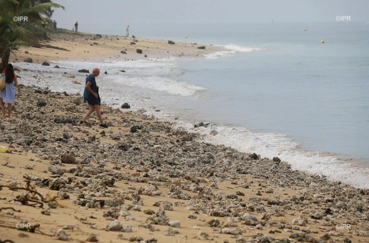 La houle se déchaîne sur le littoral jeudi 19 avril