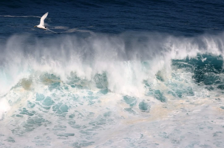 houle en bord de mer avec de grosses vagues