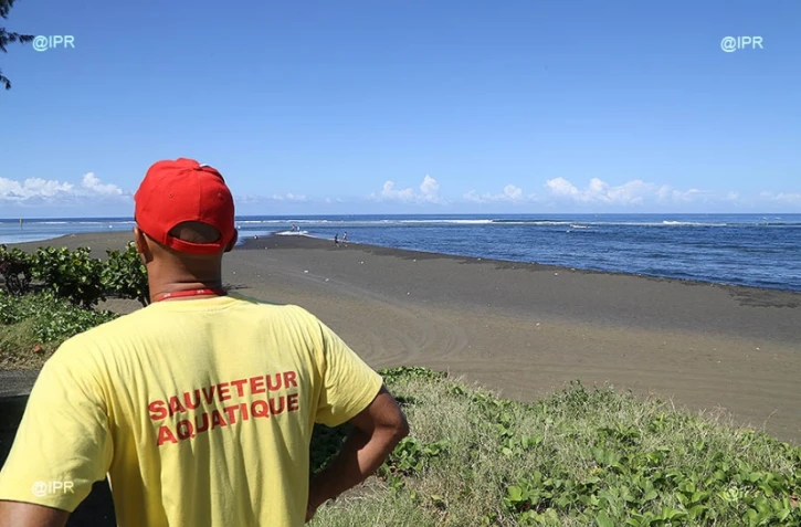 Attaque requin l\'Etang-Salé