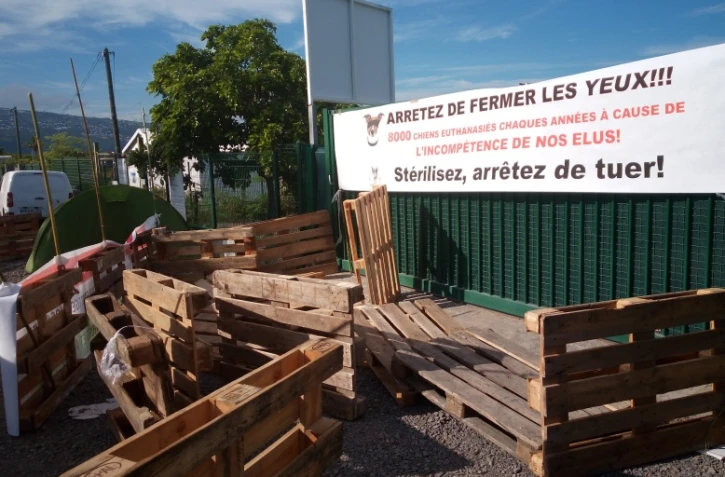 blocage fourrière cambiale Saint-Paul 