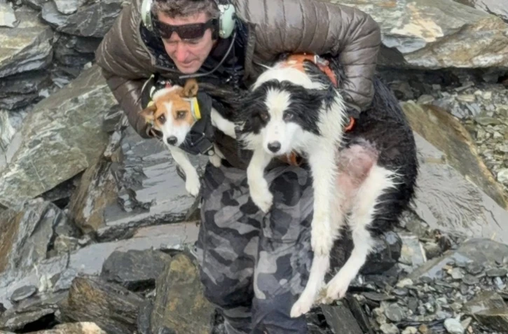 [Vidéo] Molly, une chienne disparue depuis sept jours, secourue en Nouvelle-Zélande