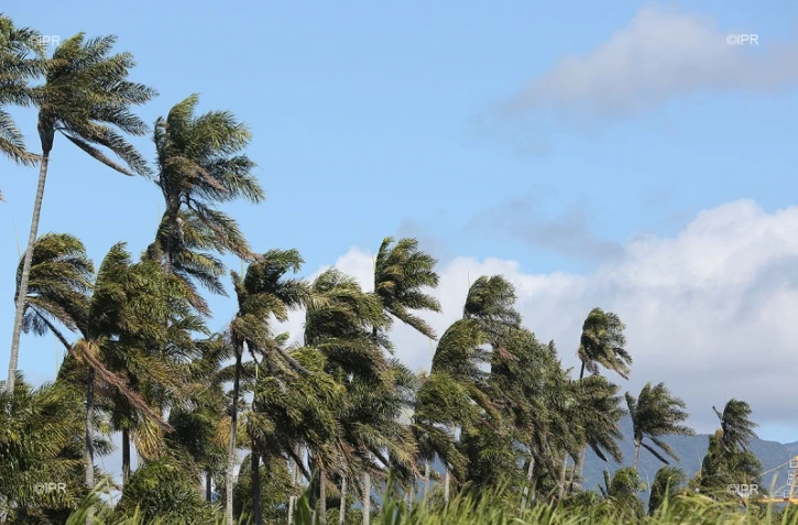 météo réunion 