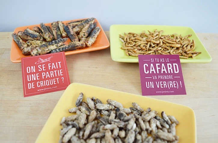 zandettes distribution