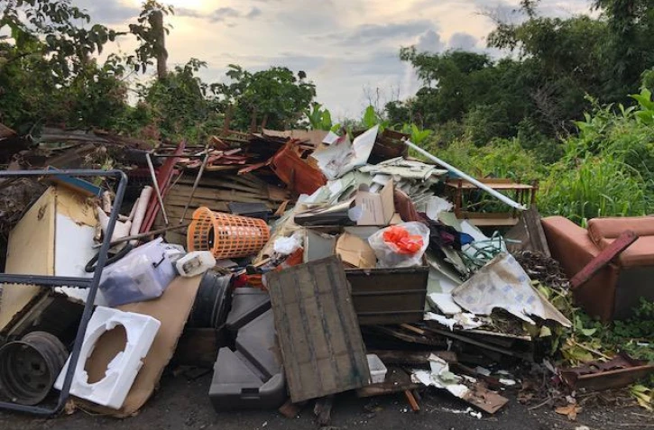 band cochon 16 avril 2021