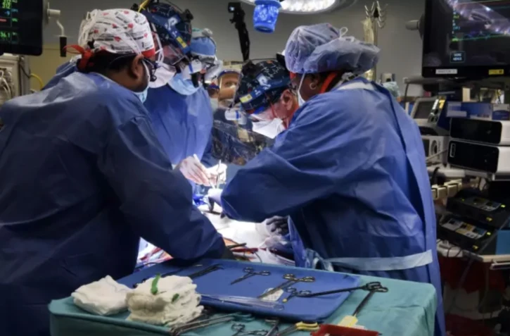 Des chirurgiens de l'école de médecine de l'université du Maryland transplantent un coeur de porc sur un patient, le 7 janvier 2022 à Baltimore ( L'école de médecine de l'université du Maryland / - )