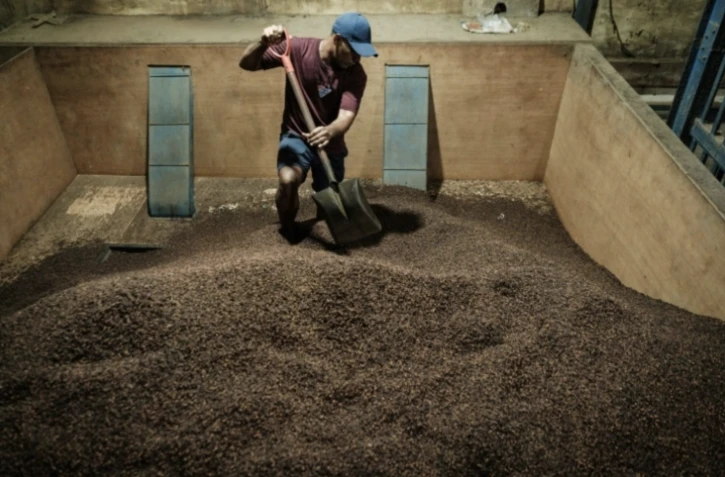 Un employé fait passer des clous de girofle dans une machine à tamiser pour éliminer les impuretés dans un entrepôt sur l'île de Ternate,le 11 avril 2025 en Indonésie ( AFP / Yasuyoshi CHIBA )
