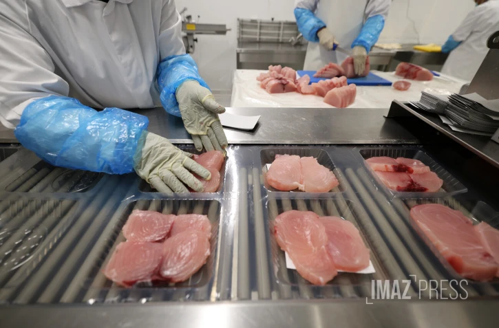 filière pêche transformation de poissons chez Réunimer