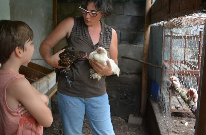 Opération poules réductrices de déchets TCO