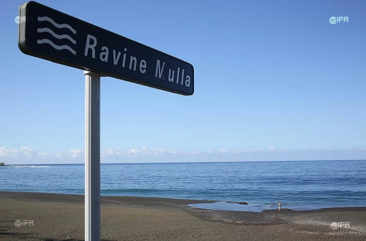 Attaque requin l\'Etang-Salé