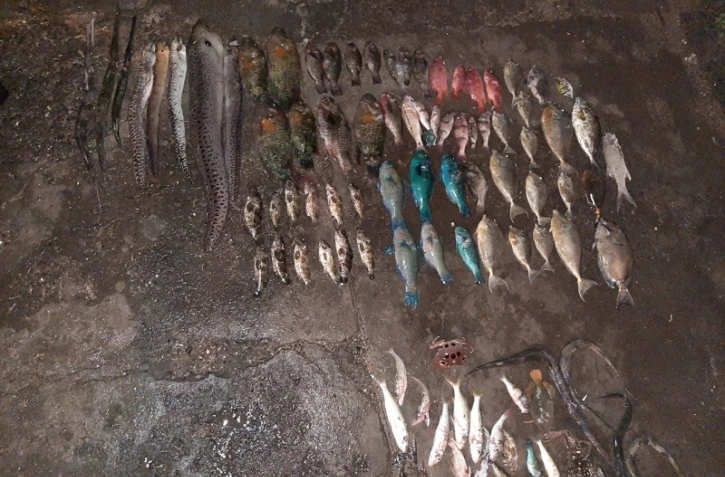 Braconnage réserve marine