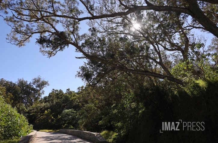 route forestiere du maido 