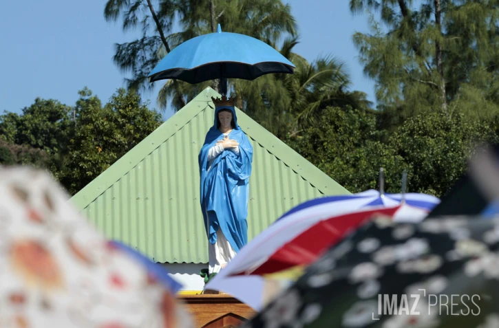 Vierge Parasol