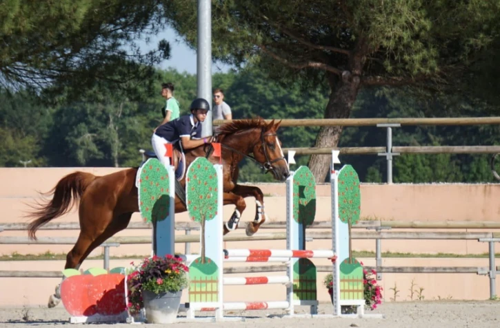 Équitation : La Réunion championne de France par équipe en Club 2