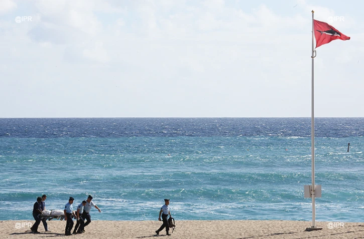 Requins