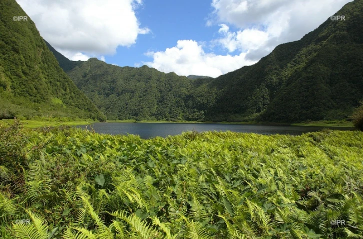 Grand-Etang