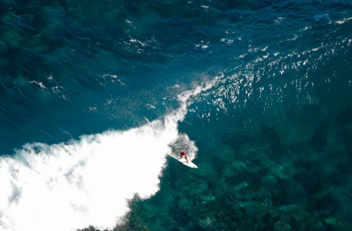 Surf