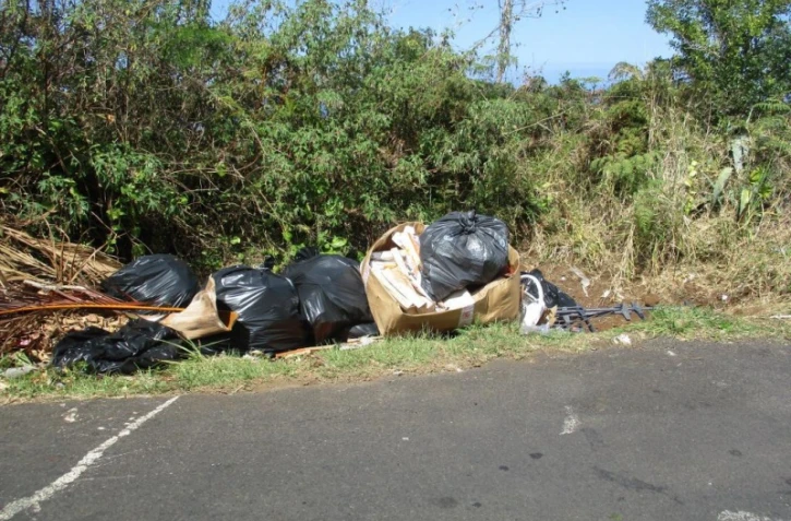 Band cochon, déchetterie sauvage à l'Etang-Salé