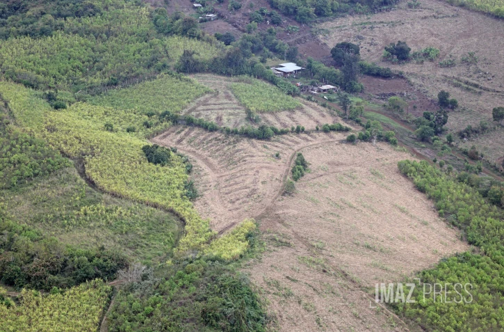 terrain agricole ouest 