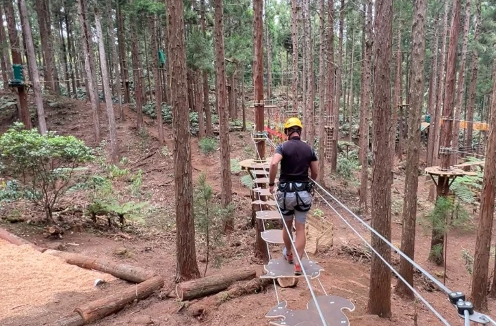 Maïdo : un nouveau parc accrobranche pour petits et grands