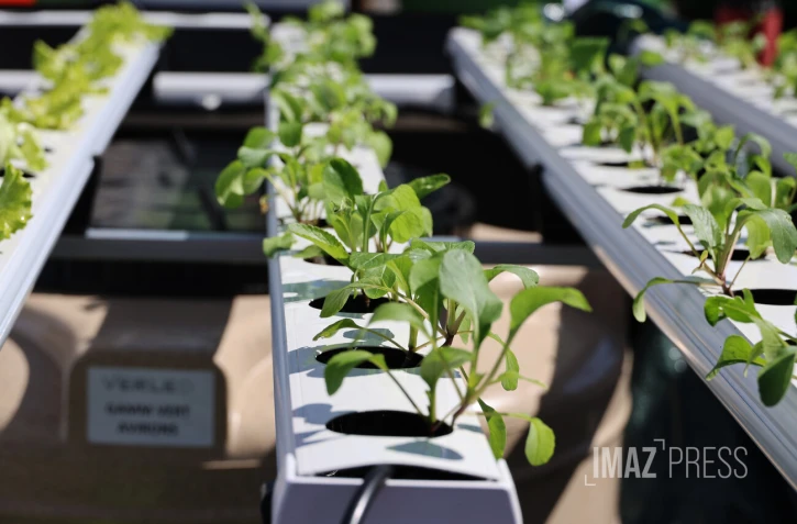 Foire agricole de Bras Panon