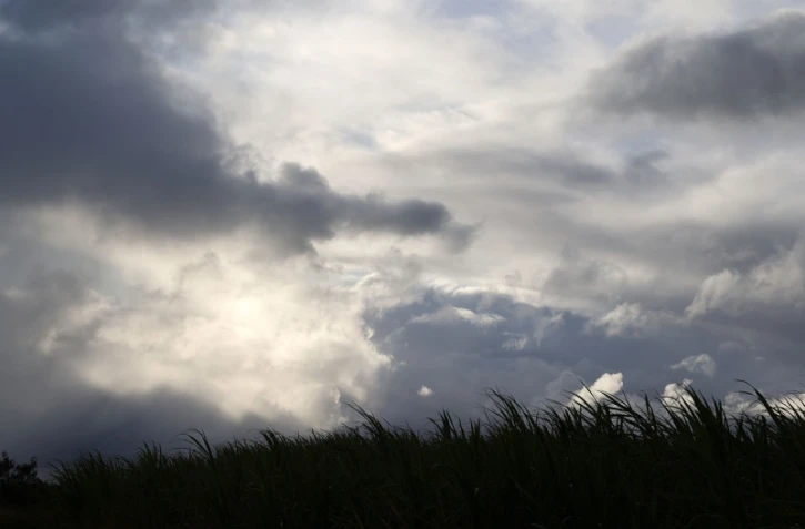 paysages 