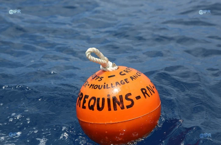 Cap Requins Roches Noires