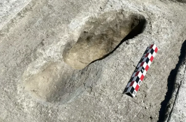 Des empreintes de pas de l'ère glaciaire éclairent la vie des premiers habitants d'Amérique du Nord