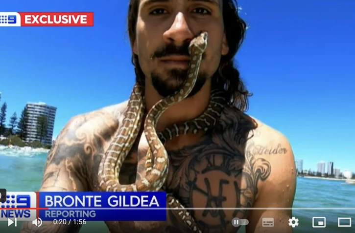 Un surfeur et un python